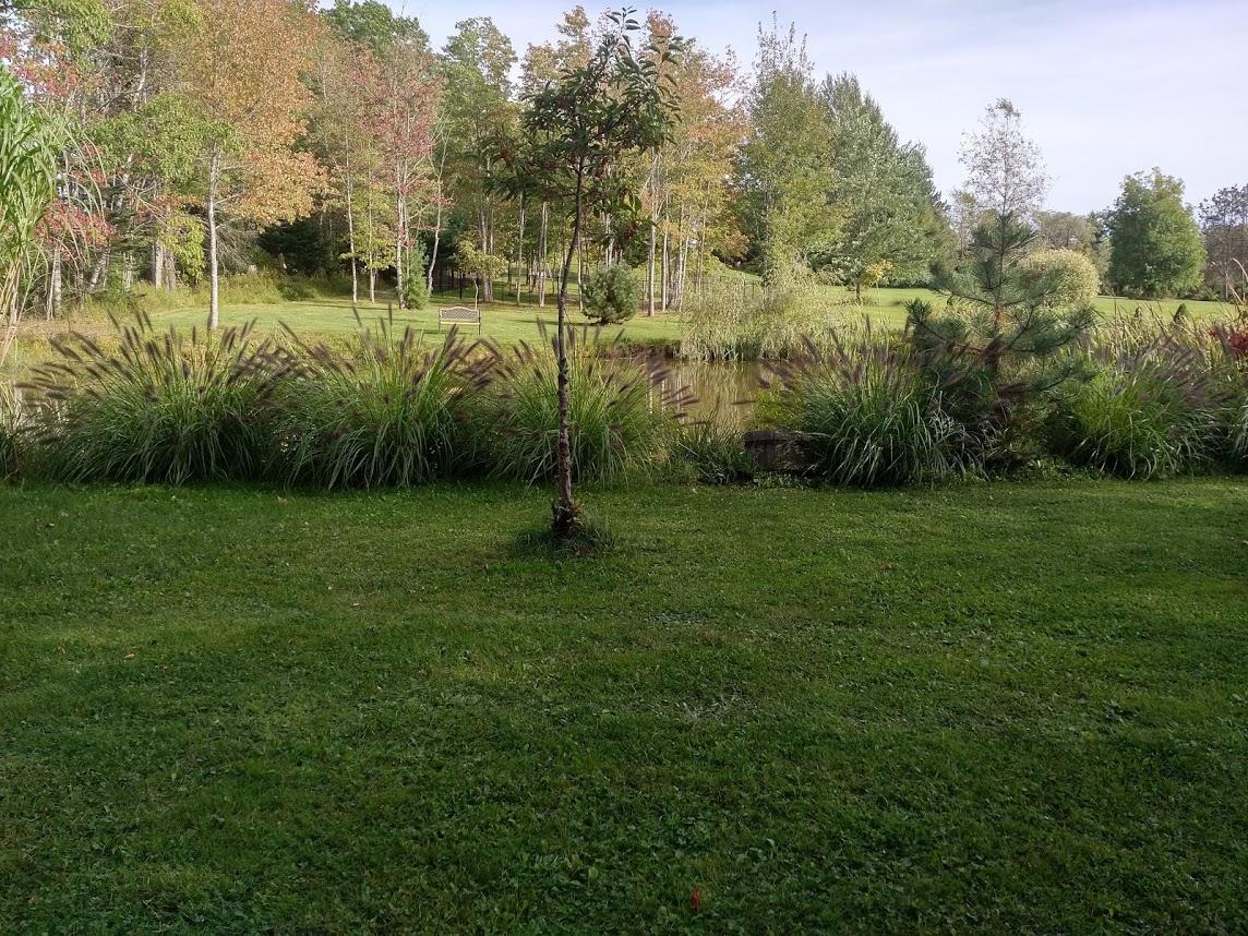 Briarwood Bed & Breakfast Elmsdale Room photo